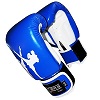 FIGHTERS - Boxhandschuhe / Giant / Blau / 10 oz