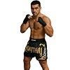 FIGHTERS - Muay Thai Shorts / Schwarz-Gold