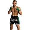 FIGHTERS - Thaibox Shorts / Elite Muay Thai / Schwarz-Grün / Small